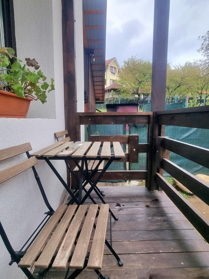 Pensiunea Tobo Baia de Fier Luaran gambar