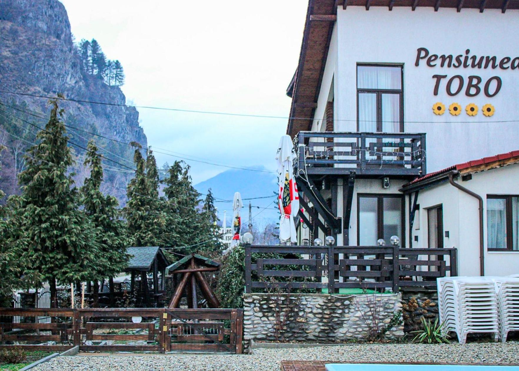 Pensiunea Tobo Baia de Fier Luaran gambar