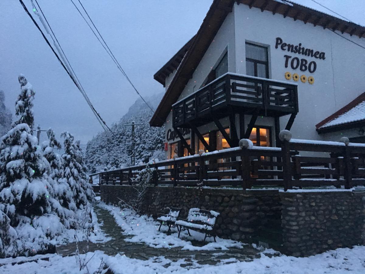 Pensiunea Tobo Baia de Fier Luaran gambar